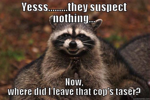 YESSS.........THEY SUSPECT NOTHING... NOW, WHERE DID I LEAVE THAT COP'S TASER? Evil Plotting Raccoon