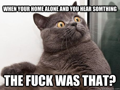 when your home alone and you hear somthing the fuck was that?  conspiracy cat