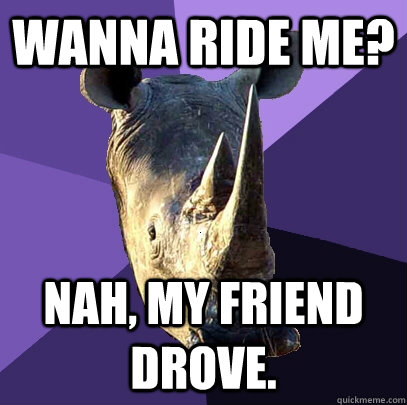 Wanna ride me? Nah, my friend drove.  Sexually Oblivious Rhino