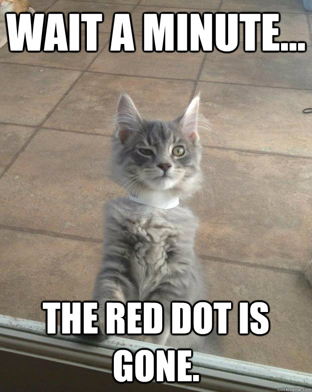 Wait a minute... The red dot is gone. - Wait a minute... The red dot is gone.  Skeptical Kitten