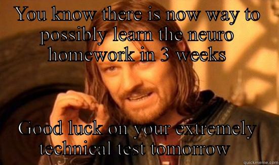 YOU KNOW THERE IS NOW WAY TO POSSIBLY LEARN THE NEURO HOMEWORK IN 3 WEEKS GOOD LUCK ON YOUR EXTREMELY TECHNICAL TEST TOMORROW  Boromir