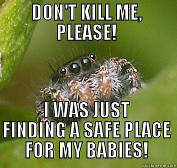 DON'T KILL ME, PLEASE! I WAS JUST FINDING A SAFE PLACE FOR MY BABIES! Misunderstood Spider