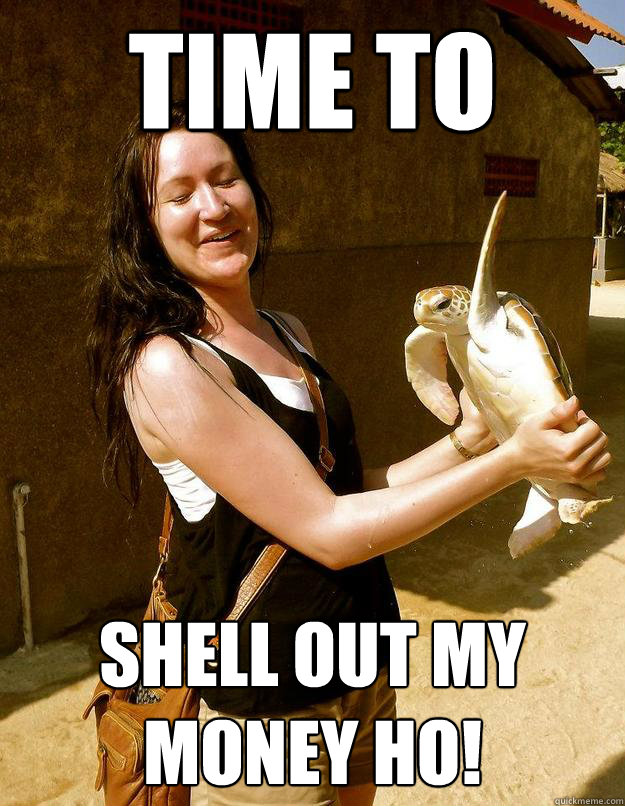 Time to Shell out my money ho! - Time to Shell out my money ho!  Disgruntled endangered sea turtle
