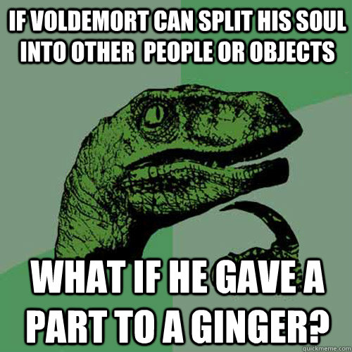 If Voldemort can split his soul into other  people or objects What if he gave a part to a ginger?  Philosoraptor