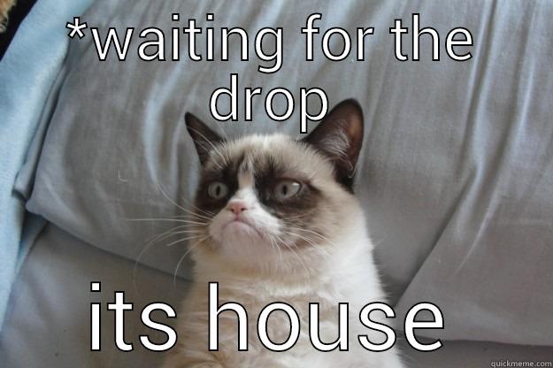 *WAITING FOR THE DROP ITS HOUSE Grumpy Cat