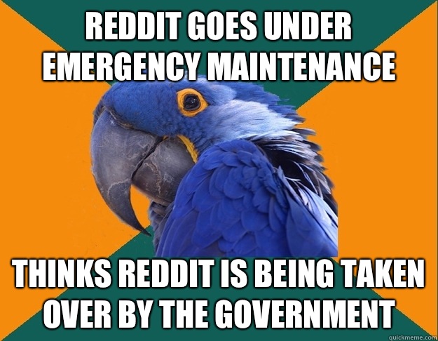 Reddit goes under emergency maintenance  Thinks reddit is being taken over by the government   Paranoid Parrot