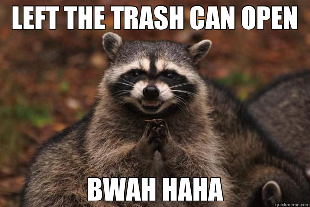 LEFT THE TRASH CAN OPEN BWAH HAHA - LEFT THE TRASH CAN OPEN BWAH HAHA  Evil Plotting Raccoon