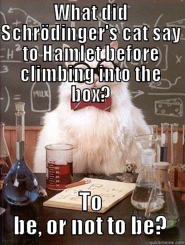 Schrödinger's Cat Meets Hamlet - WHAT DID SCHRÖDINGER'S CAT SAY TO HAMLET BEFORE CLIMBING INTO THE BOX? TO BE, OR NOT TO BE? Chemistry Cat