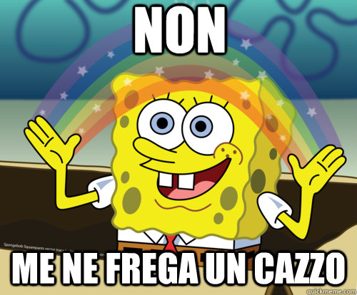 Non  me ne frega un cazzo  