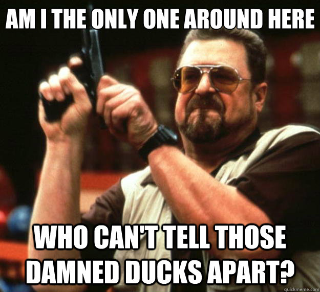 Am I the only one around here Who can't tell those damned ducks apart?  Big Lebowski