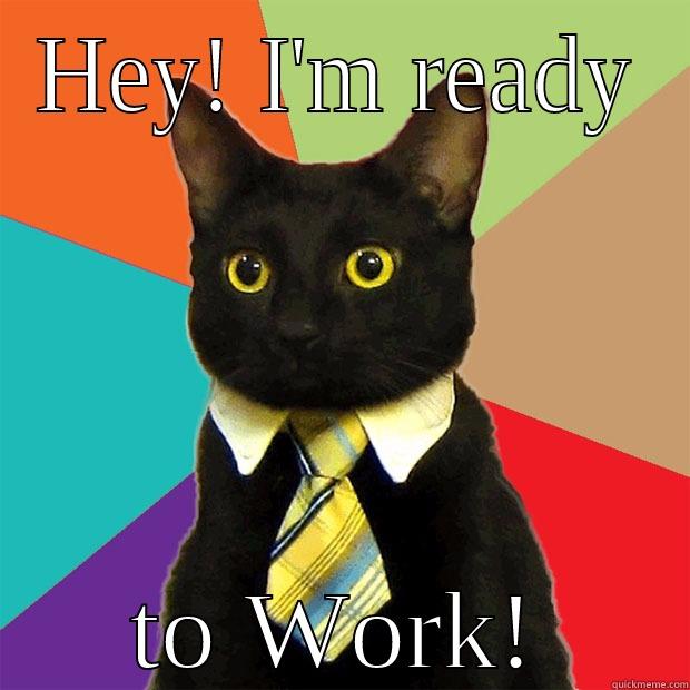 HEY! I'M READY TO WORK! Business Cat