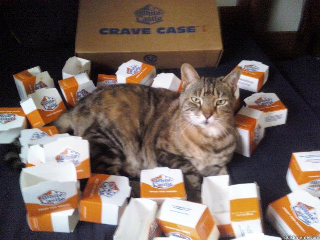 Law of Dinner Table Attendance 

Cats must attend all meals when anything good is served.
   White Castle Cat