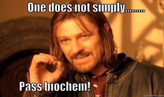              ONE DOES NOT SIMPLY.........                                                PASS BIOCHEM!                                   Boromir