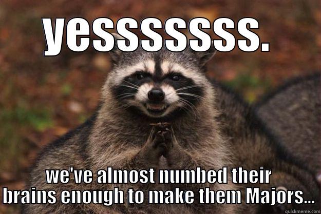 YESSSSSSS. WE'VE ALMOST NUMBED THEIR BRAINS ENOUGH TO MAKE THEM MAJORS... Evil Plotting Raccoon