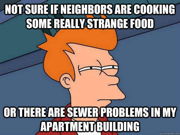 Not sure if neighbors are cooking some really strange food or there are sewer problems in my apartment building  Futurama Fry