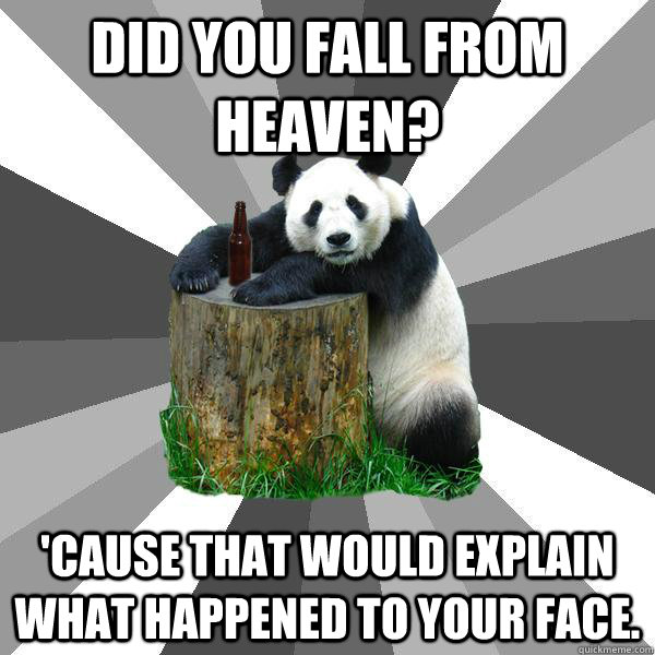 Did you fall from heaven? 'Cause that would explain what happened to your face.  Pickup-Line Panda