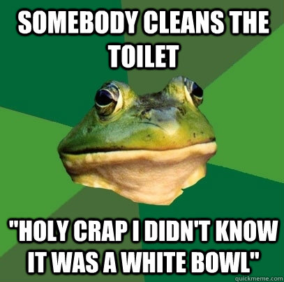 Somebody cleans the toilet 