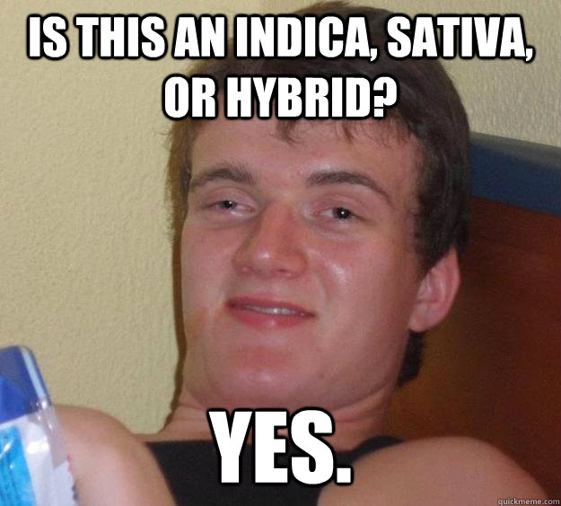 Is this an indica, sativa, or hybrid? Yes.  10 Guy