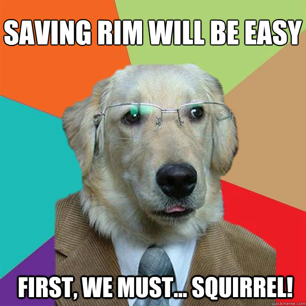 saving rim will be easy
 first, we must... squirrel!  Business Dog