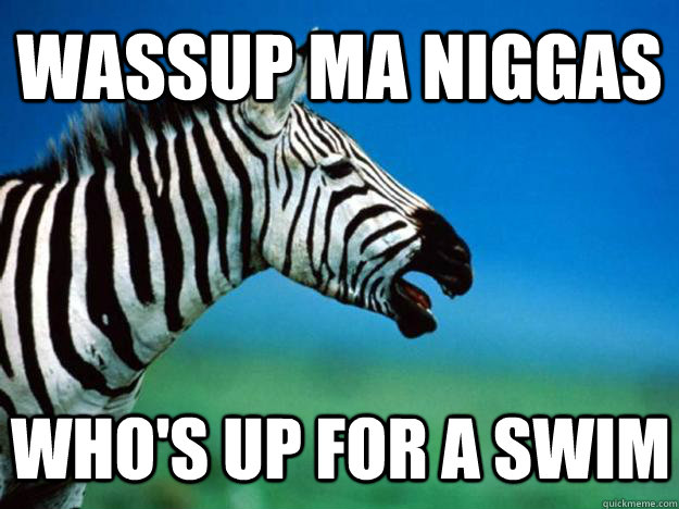 WASSUP MA NIGGAS Who's up for a swim  Racially Confused Zebra