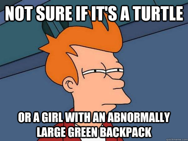 Not sure if it's a turtle or a girl with an abnormally large green backpack  Futurama Fry