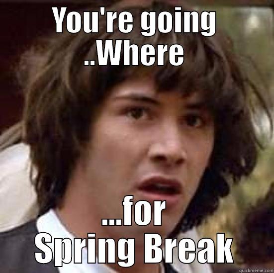 YOU'RE GOING ..WHERE ...FOR SPRING BREAK conspiracy keanu