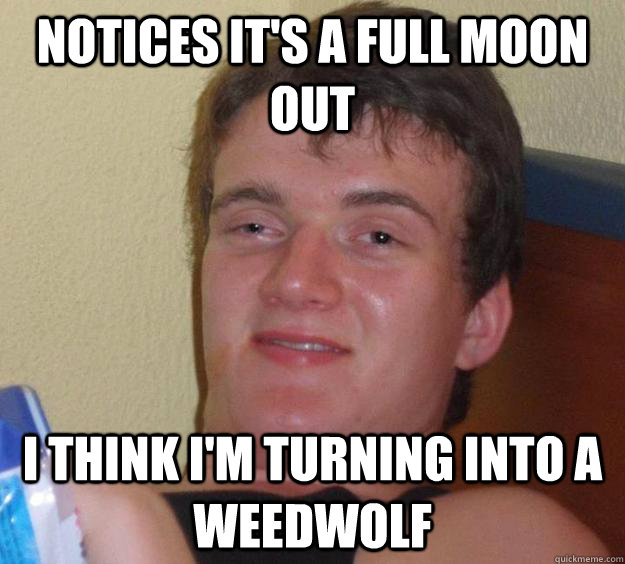 notices it's a full moon out i think i'm turning into a weedwolf  10 Guy