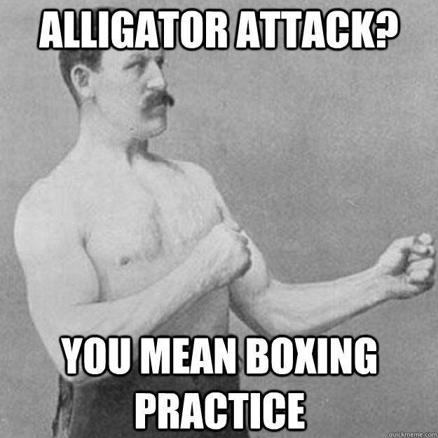 Alligator attack? You mean boxing practice  overly manly man