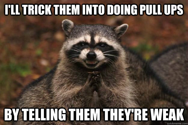 I'll trick them into doing pull ups by telling them they're weak  Evil Plotting Raccoon