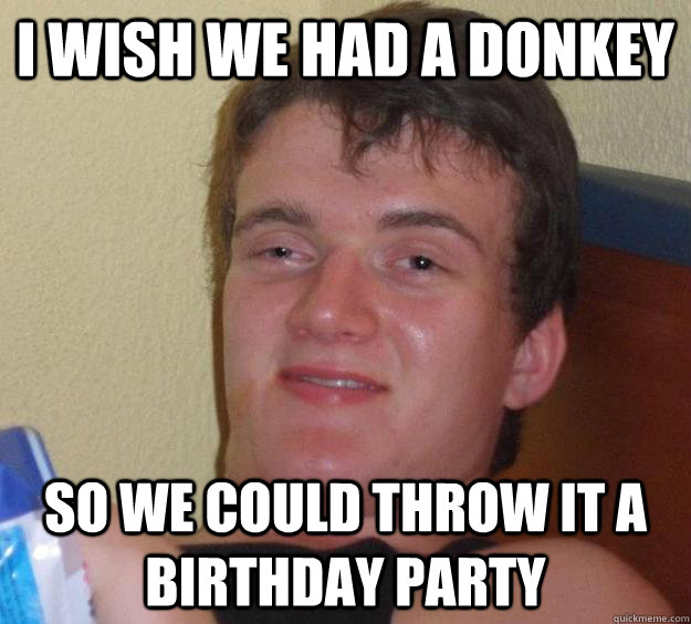 I wish we had a donkey so we could throw it a birthday party - I wish we had a donkey so we could throw it a birthday party  10 Guy