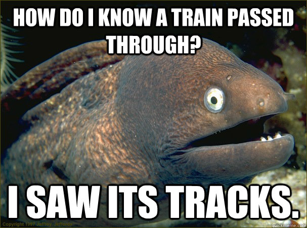 How do I know a train passed through? I saw its tracks.  Bad Joke Eel