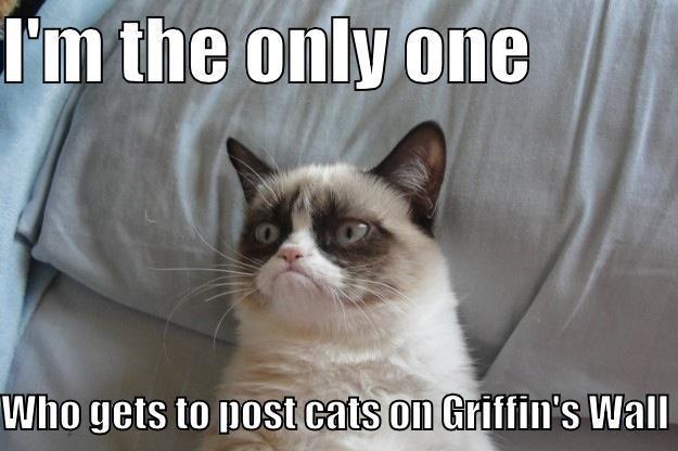 I'm the only one who gets to post cats on your wall - I'M THE ONLY ONE            WHO GETS TO POST CATS ON GRIFFIN'S WALL Grumpy Cat