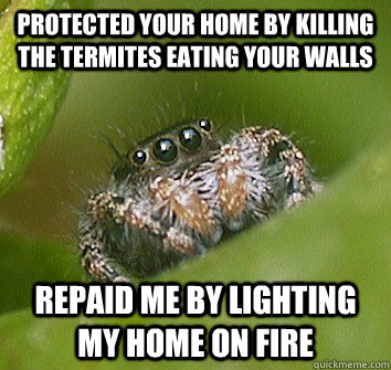 Protected your home by killing the termites eating your walls repaid me by lighting my home on fire  Misunderstood Spider