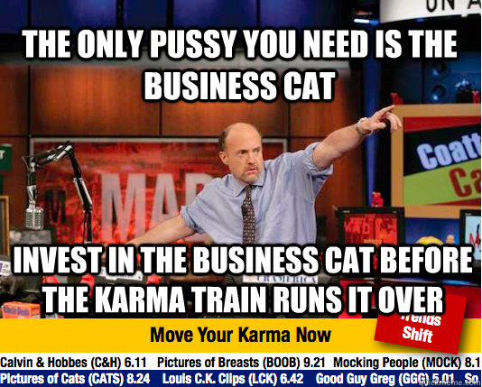 The only pussy you need is the business cat Invest in the business cat before the karma train runs it over  Mad Karma with Jim Cramer