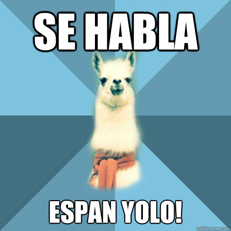 Se Habla Espan YOLO!  Linguist Llama