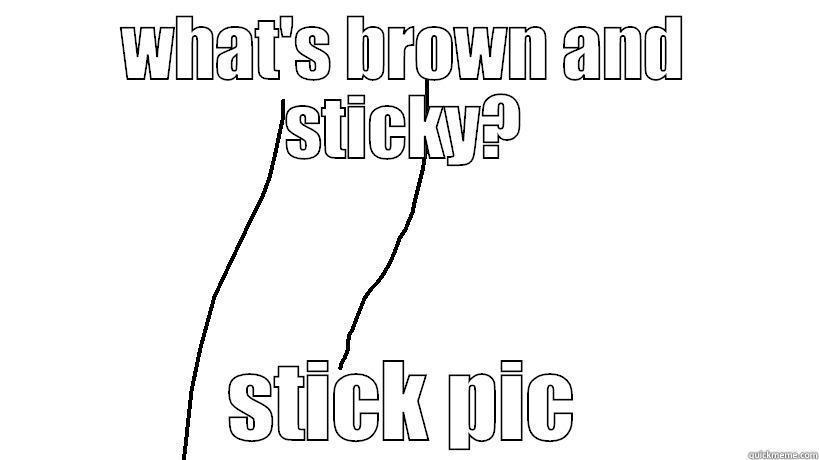 stick pic - WHAT'S BROWN AND STICKY? STICK PIC Misc