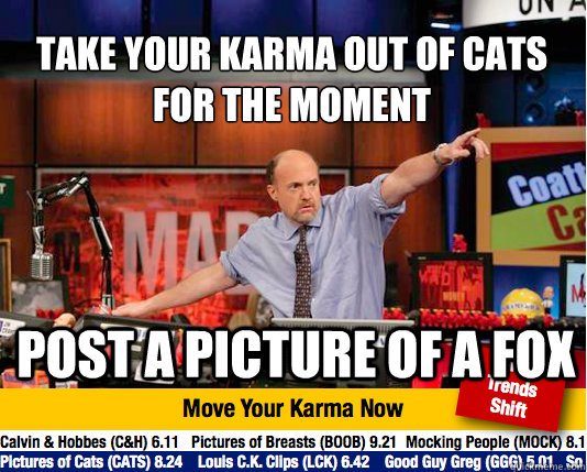 Take your karma out of cats for the moment
 post a picture of a fox - Take your karma out of cats for the moment
 post a picture of a fox  Mad Karma with Jim Cramer