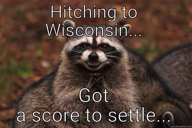 HITCHING TO WISCONSIN... GOT A SCORE TO SETTLE... Evil Plotting Raccoon