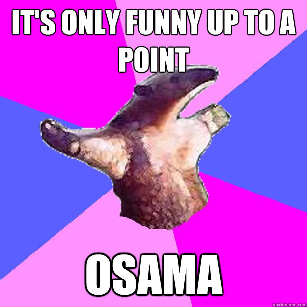 It's only funny up to a point Osama - It's only funny up to a point Osama  Property Damage Anteater