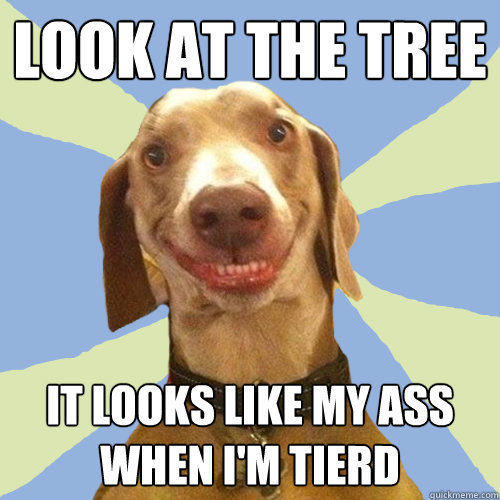 LOOK AT THE TREE IT LOOKS LIKE MY ASS WHEN I'M TIERD  Disgusting Doggy