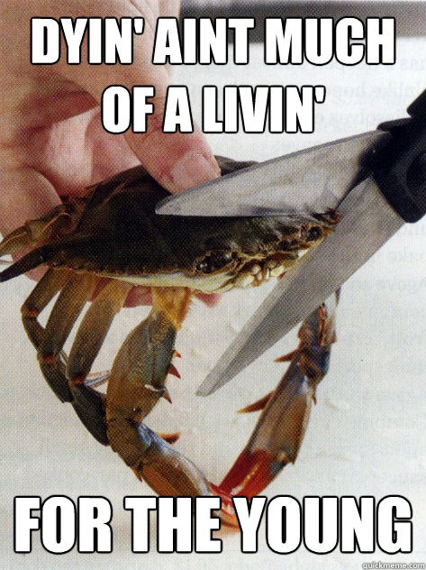 dyin' aint much of a livin' for the young - dyin' aint much of a livin' for the young  Optimistic Crab