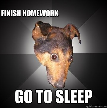 GO TO SLEEP FINISH HOMEWORK  Depression Dog