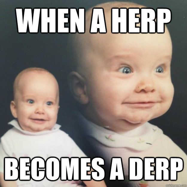 when a herp becomes a derp - when a herp becomes a derp  here comes the airplane...