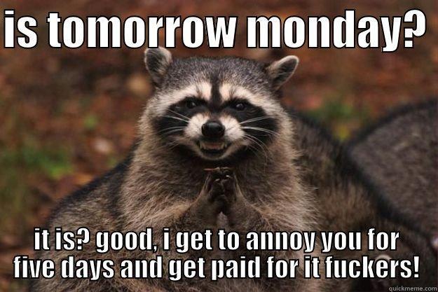 IS TOMORROW MONDAY?  IT IS? GOOD, I GET TO ANNOY YOU FOR FIVE DAYS AND GET PAID FOR IT FUCKERS! Evil Plotting Raccoon