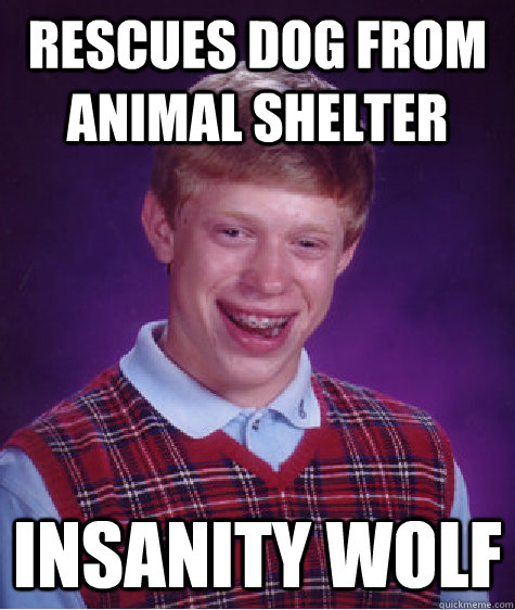 Rescues dog from animal shelter insanity wolf - Rescues dog from animal shelter insanity wolf  Bad Luck Brian