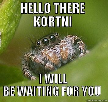 HELLO THERE KORTNI I WILL BE WAITING FOR YOU  Misunderstood Spider