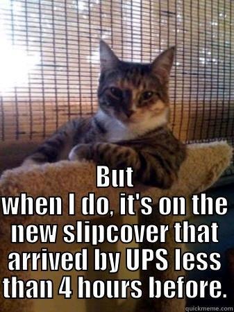 I DON'T ALWAYS PUKE ON YOUR SOFA BUT WHEN I DO, IT'S ON THE NEW SLIPCOVER THAT ARRIVED BY UPS LESS THAN 4 HOURS BEFORE. The Most Interesting Cat in the World