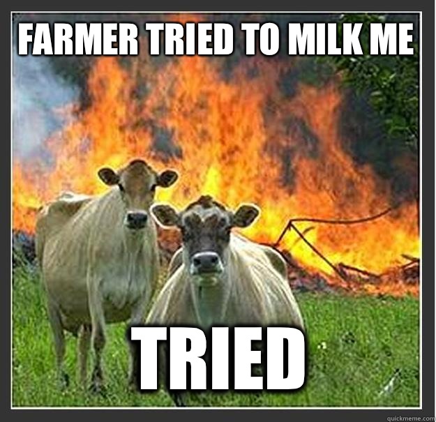 Farmer tried to milk me  Tried  - Farmer tried to milk me  Tried   Evil cows