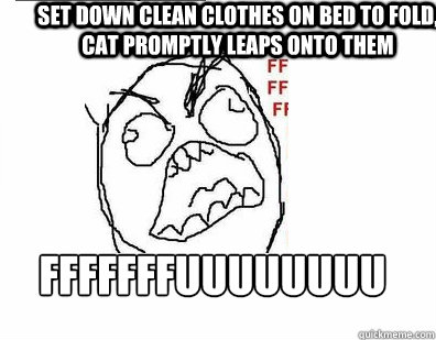 Set down clean clothes on bed to fold, cat promptly leaps onto them FFFFFFFUUUUUUUU - Set down clean clothes on bed to fold, cat promptly leaps onto them FFFFFFFUUUUUUUU  Are you ffuuuuuuuuuuuuuuuuuking kidding me