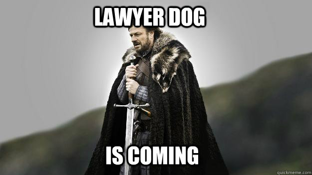 Lawyer Dog IS COMING  